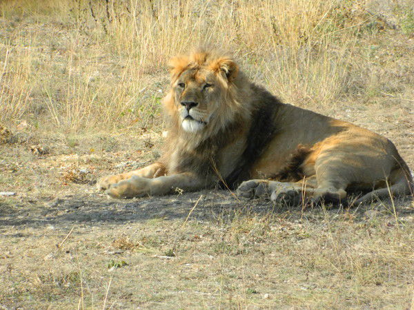 Александр Татаренко