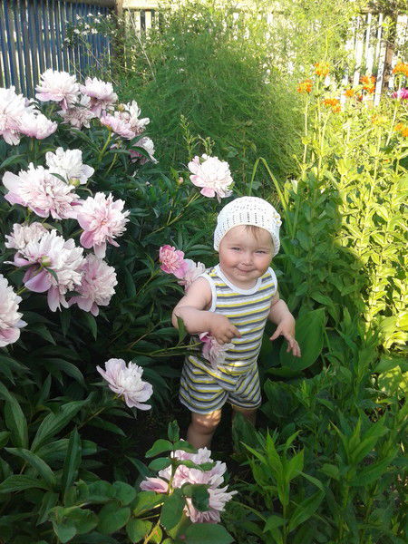 Ирина Чернова