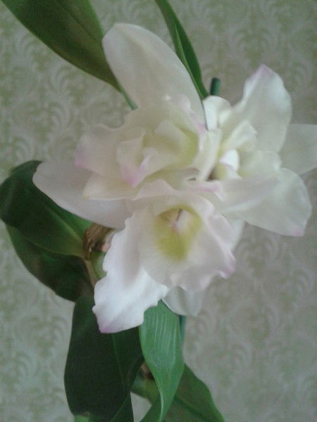 Соловов Алексей