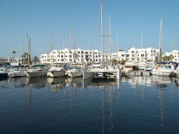 Подалицын Александр