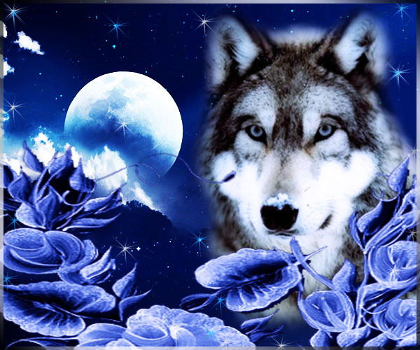 Галина Лычаная