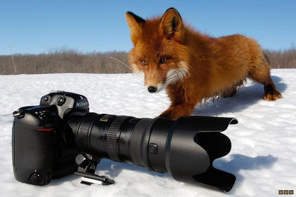 Ольга Федулова