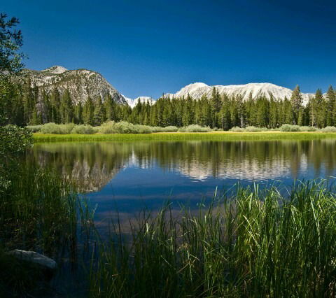 Гульшат Касимова