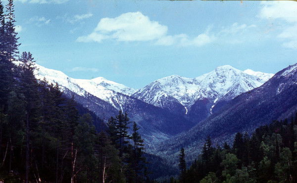 Сергей Друк