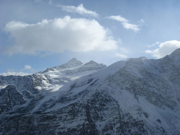 Елена Стазаева