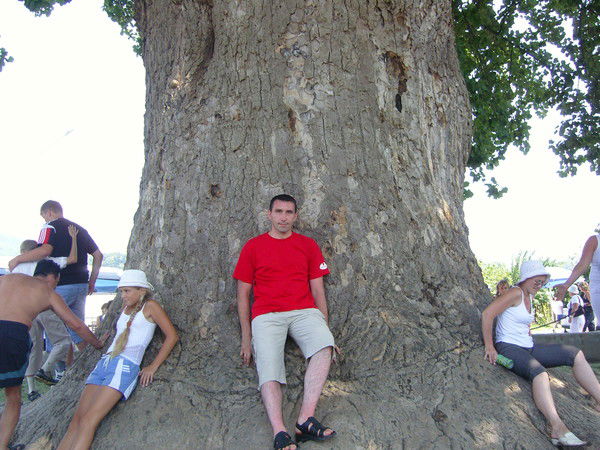 Андрей Сучу