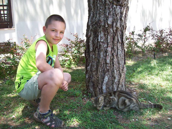 Виталий Метельский