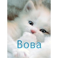 Владимир В.м.с