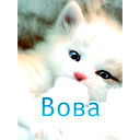 Владимир В.м.с