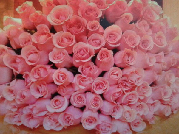 Жулдыз Жалгасова