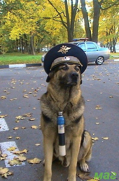 Егор Смирнов