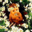 Lilu ***