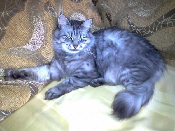 Галя Назырова