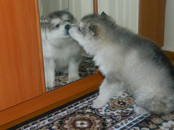 ^-^vячeslav^-^ ^-^