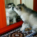 ^-^vячeslav^-^ ^-^