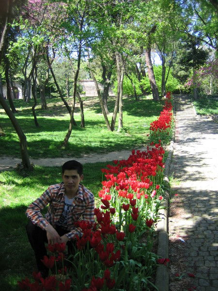 Shamyrat Seyitguliyev