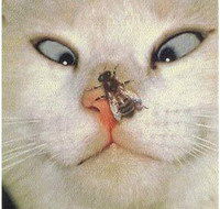 Наталья !!!!!!!!!!