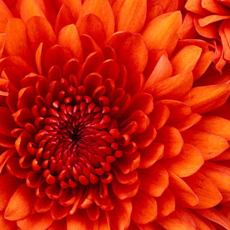 Лариса Люфт