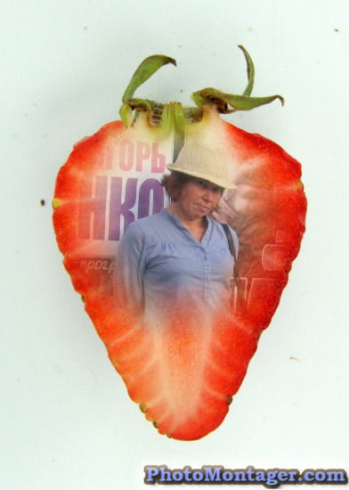 Елена Николаева