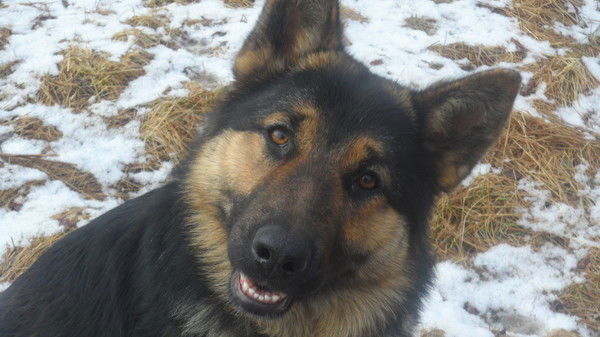 Борис Прошутин