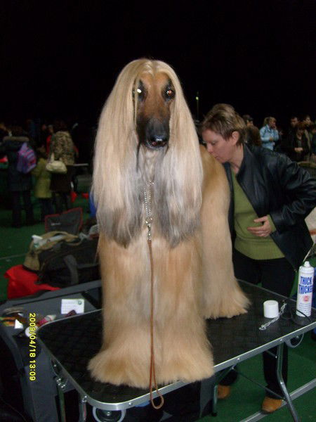 Ирина Чмель