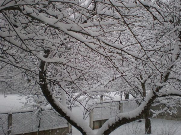 Жанна Семенюк