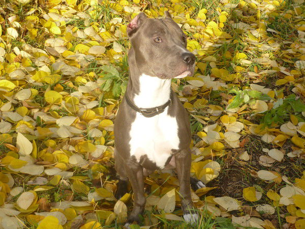 Мария Каримова