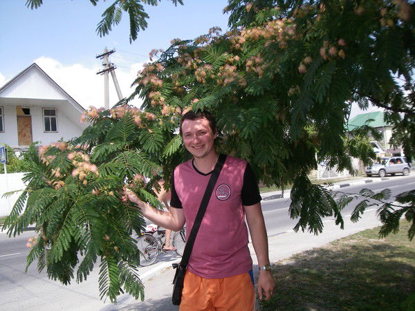 Александр Нечаев