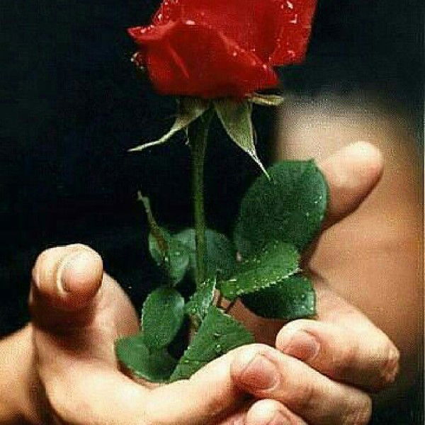 Музаффар Каримов