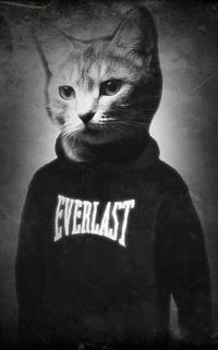 Иван Иванов