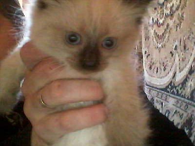 Степан Окунев