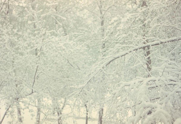 Выдрина Александра