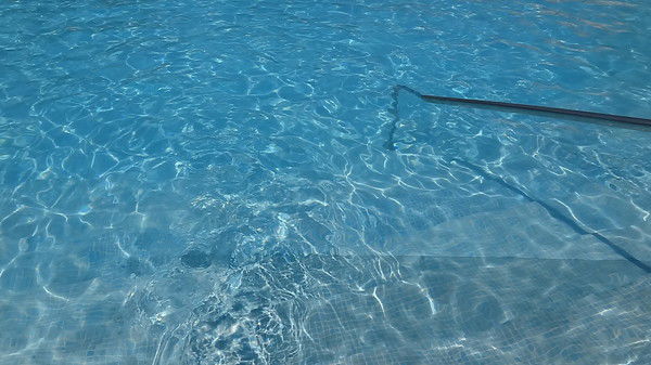 Лариса Осипова