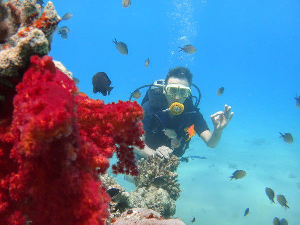 Александр Петрухин