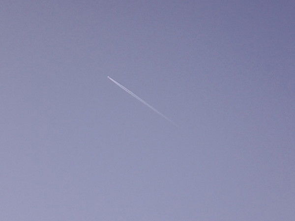 Джамилят Гитинмагомедова