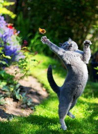 Анжелика Храброва