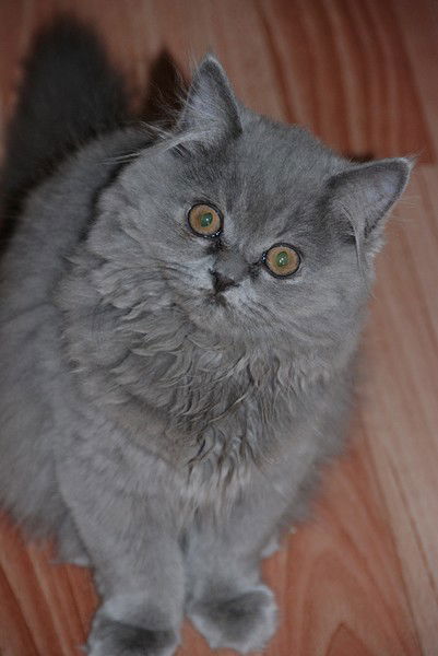 Любовь Афанасьева