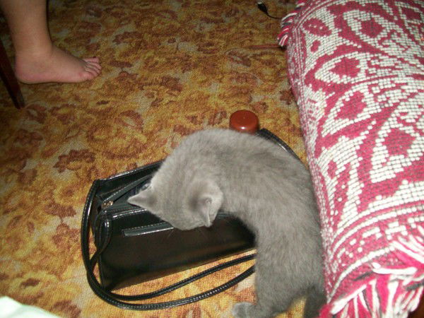 Олег Абрамов