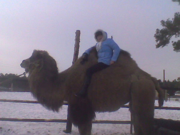 Кабжалалова Майгуль