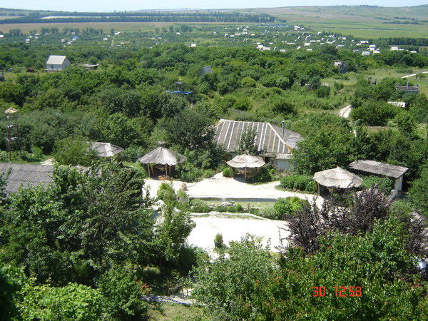 Татьяна Чекурова