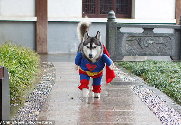 Сергей Середа