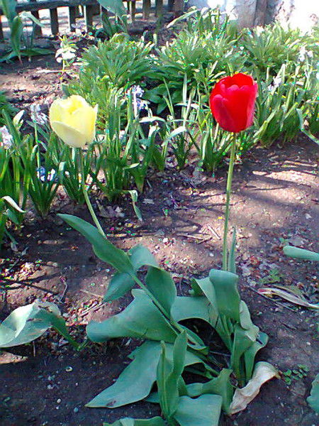 Любовь Ушакова