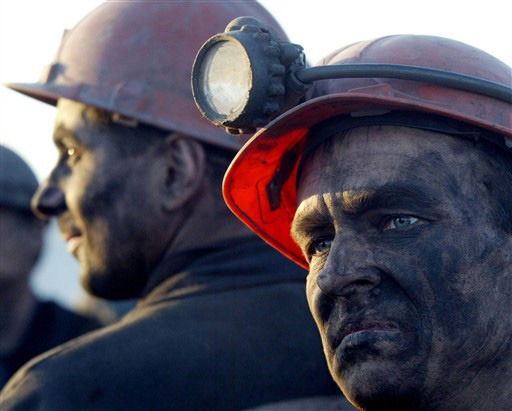 Ооо "лшм" Букреев