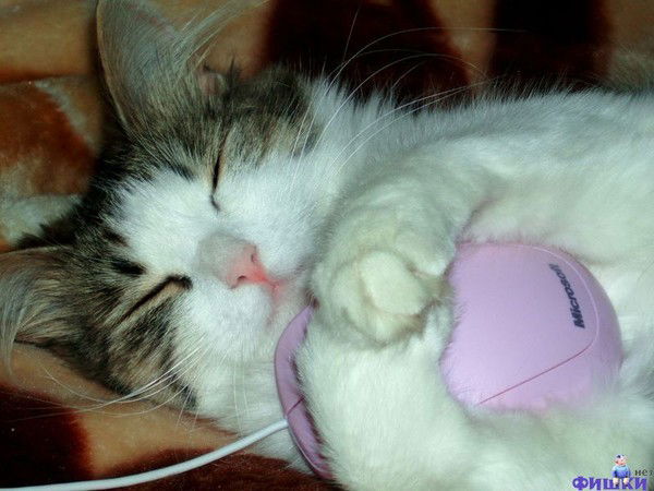 Наталья Протасова