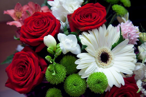 Ирина Житинская