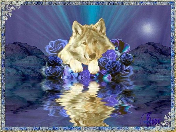 Одинокий Волк Одинокий Волк