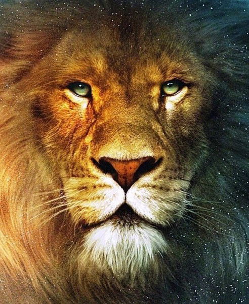 Виктор Блажко