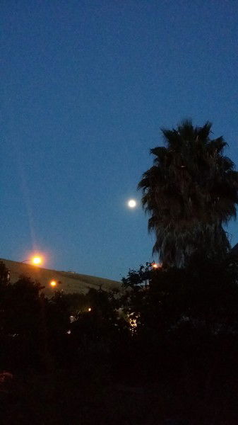 Евгения Морина