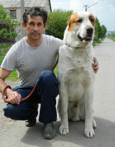 Александр Прошин