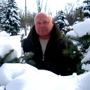 Владимир Войников